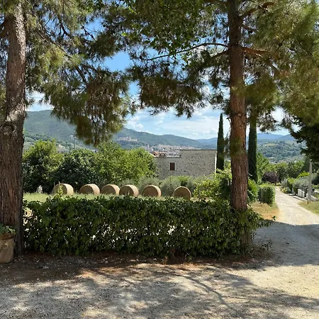 L'antico Seminario